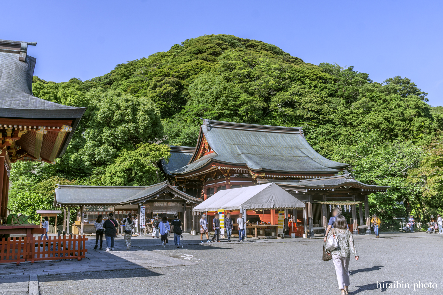 鎌倉・鶴岡八幡宮_photolog.40