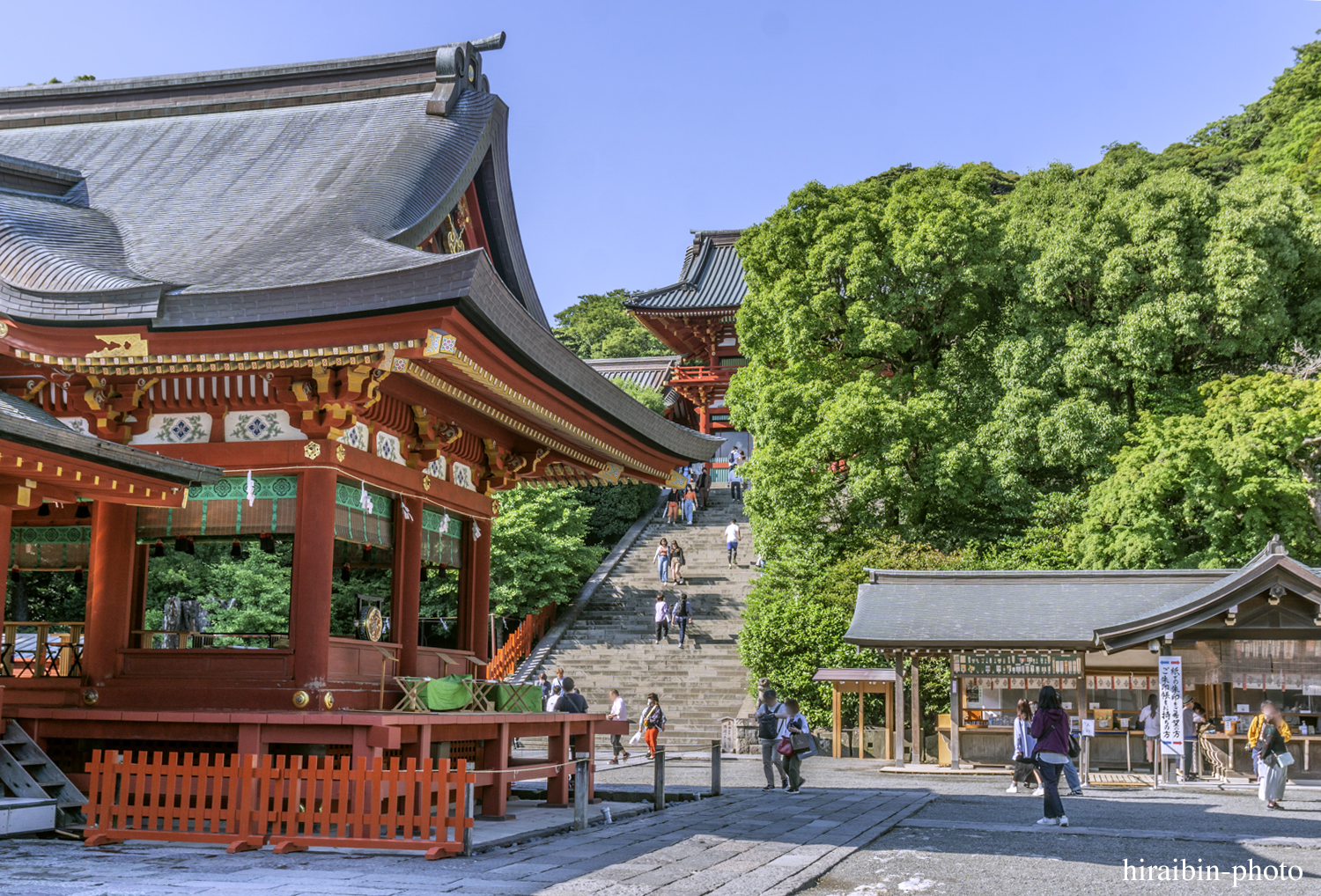 鎌倉・鶴岡八幡宮_photolog.42