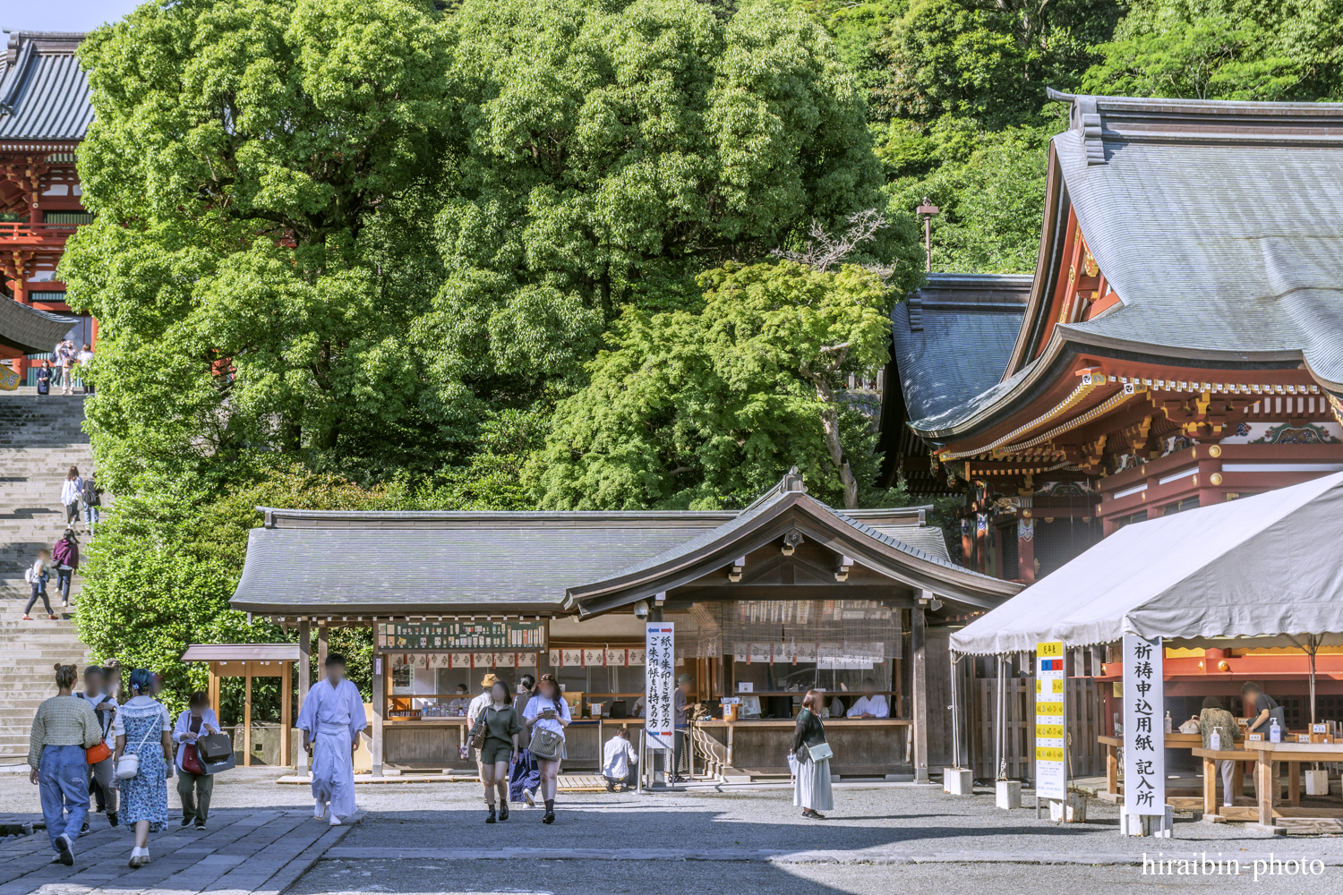 鎌倉・鶴岡八幡宮_photolog.43