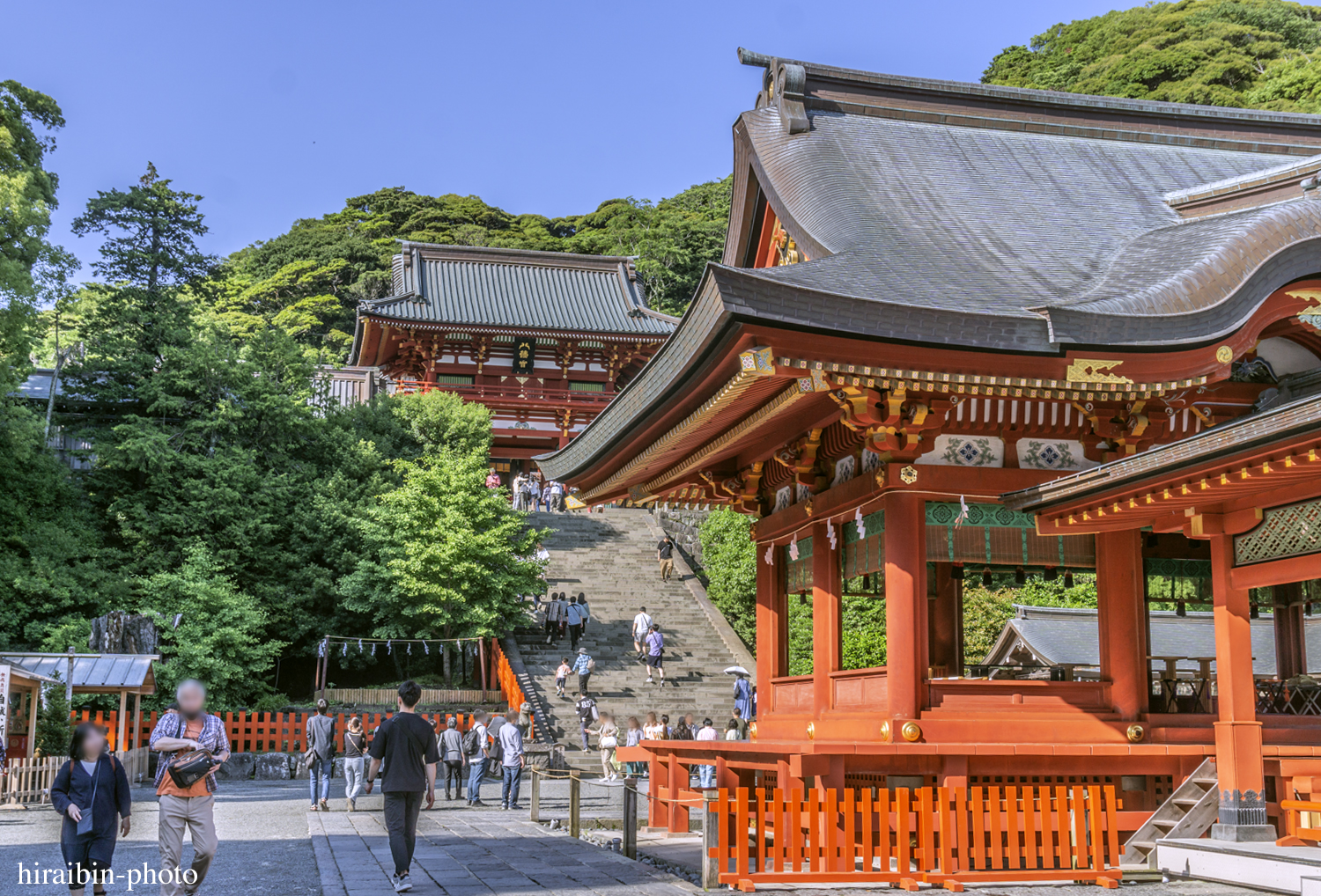 鎌倉・鶴岡八幡宮_photolog.46