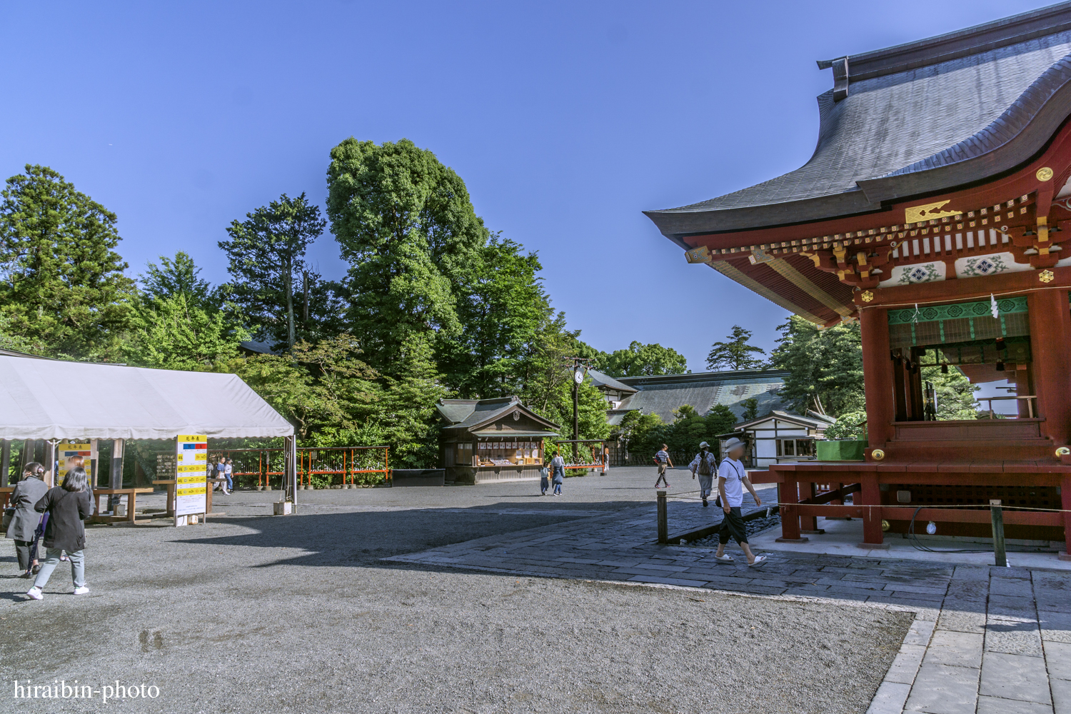 鎌倉・鶴岡八幡宮_photolog.62