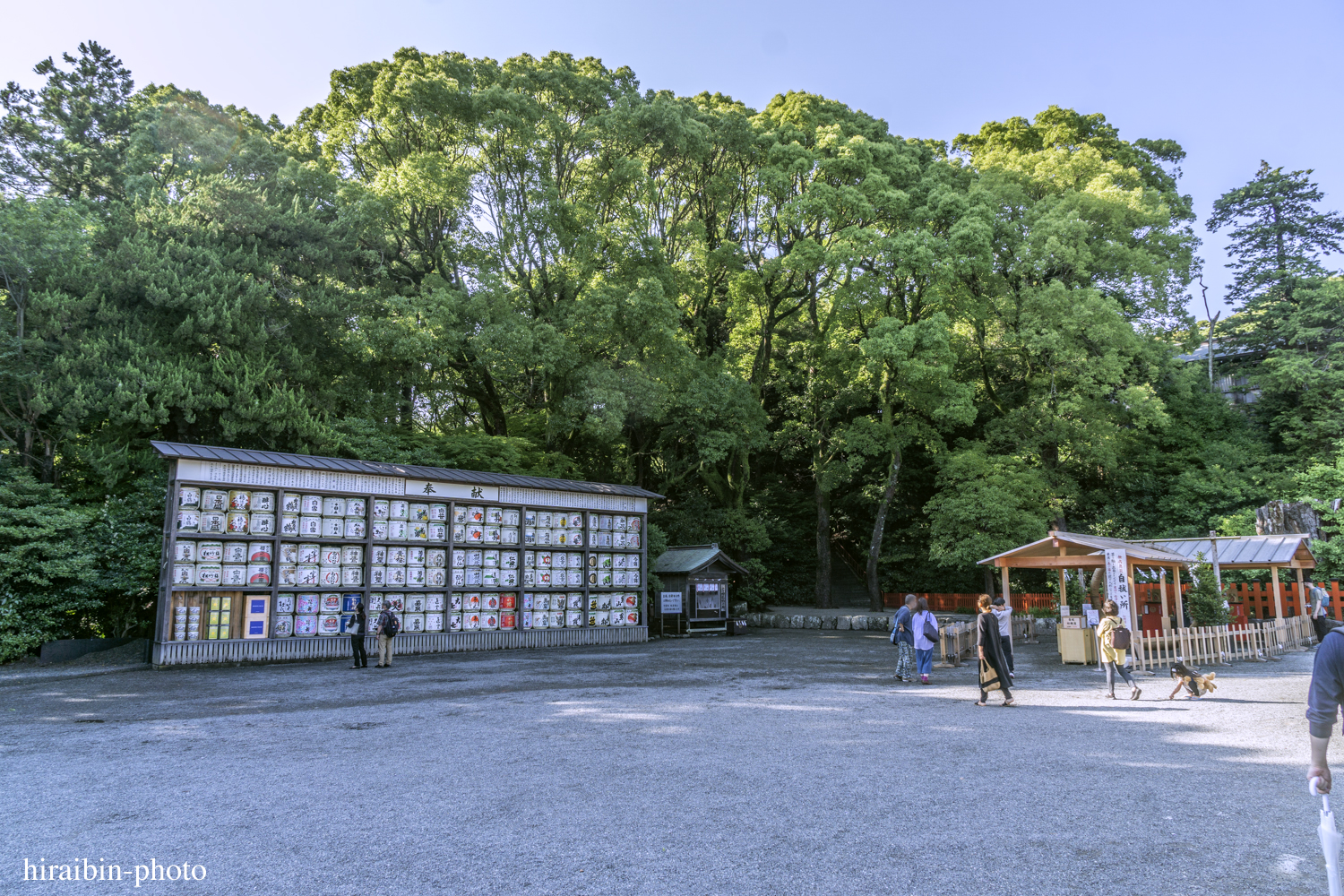 鎌倉・鶴岡八幡宮_photolog.65