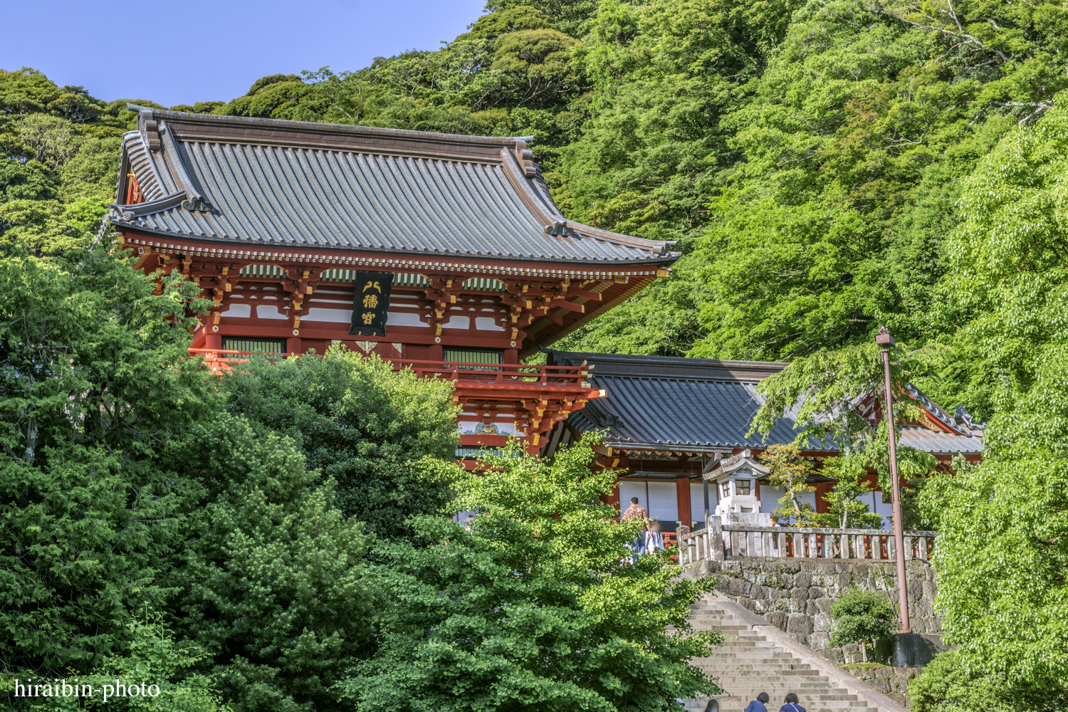 鎌倉・鶴岡八幡宮_photolog.66