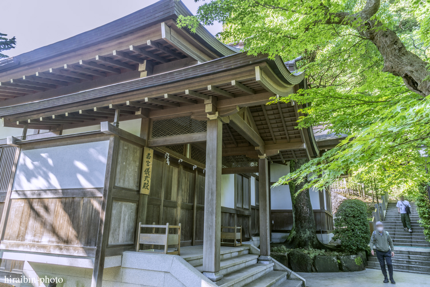 鎌倉・鶴岡八幡宮_photolog.71