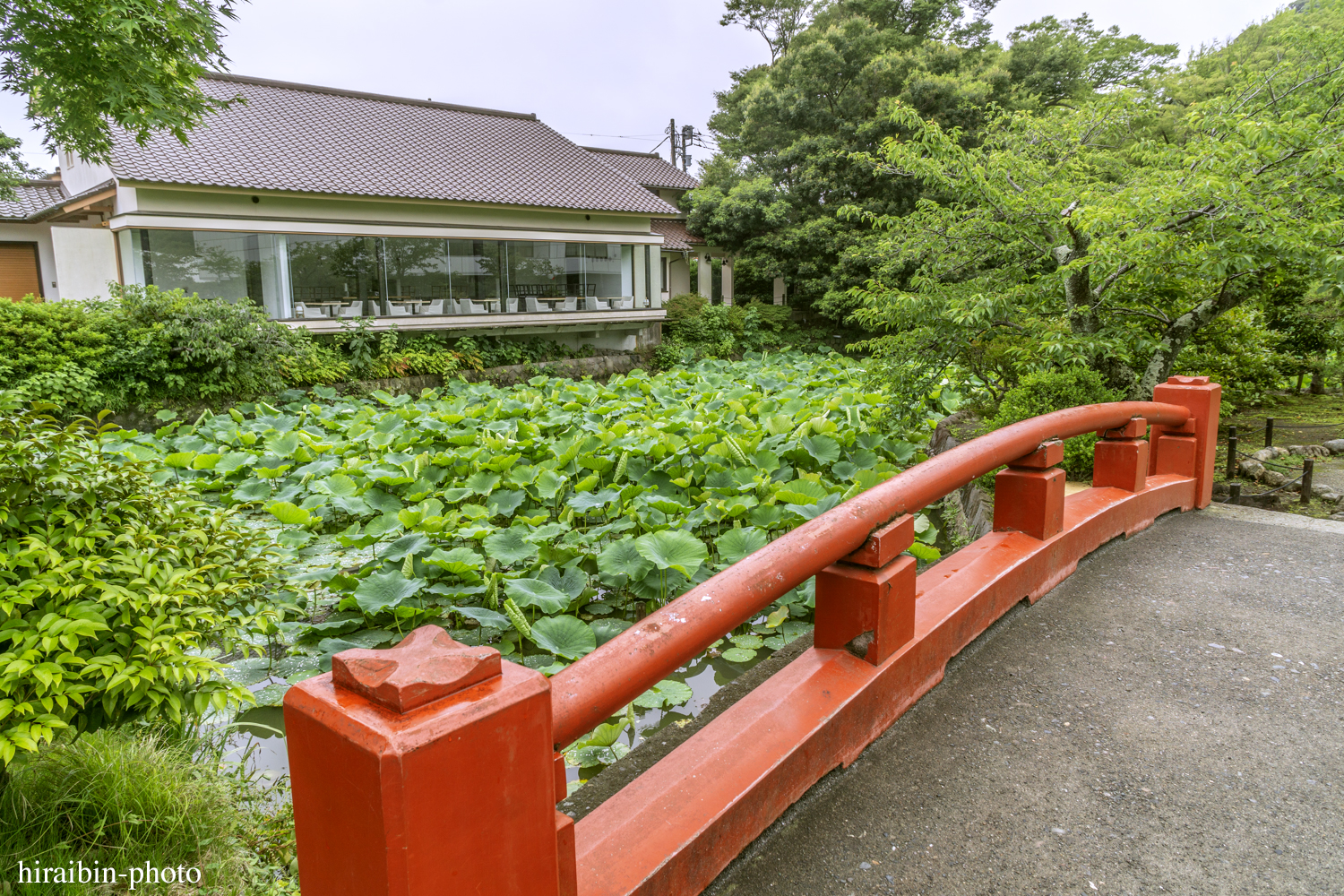 鎌倉・鶴岡八幡宮_photolog.81