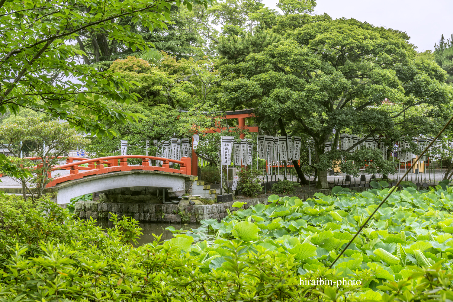 鎌倉・鶴岡八幡宮_photolog.85