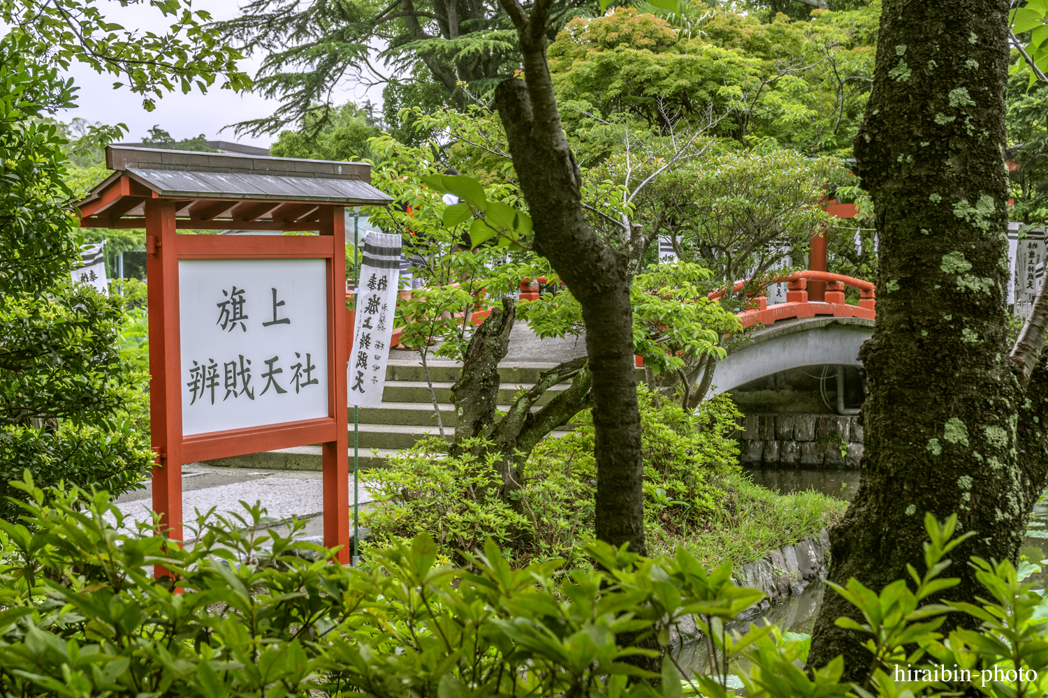 鎌倉・鶴岡八幡宮_photolog.87