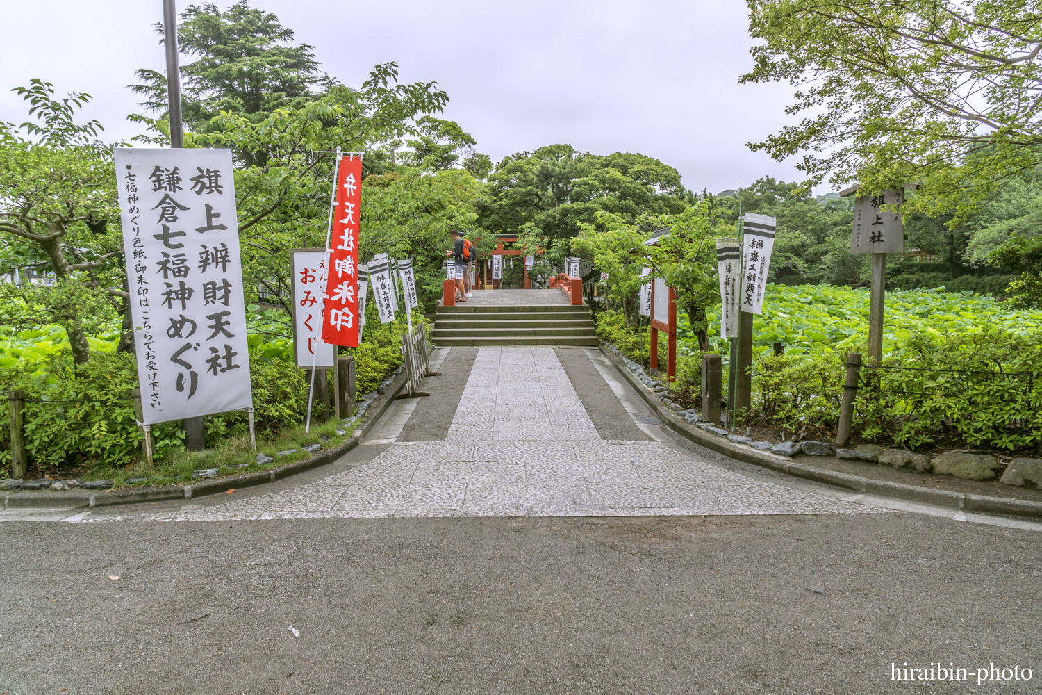 鎌倉・鶴岡八幡宮_photolog.86