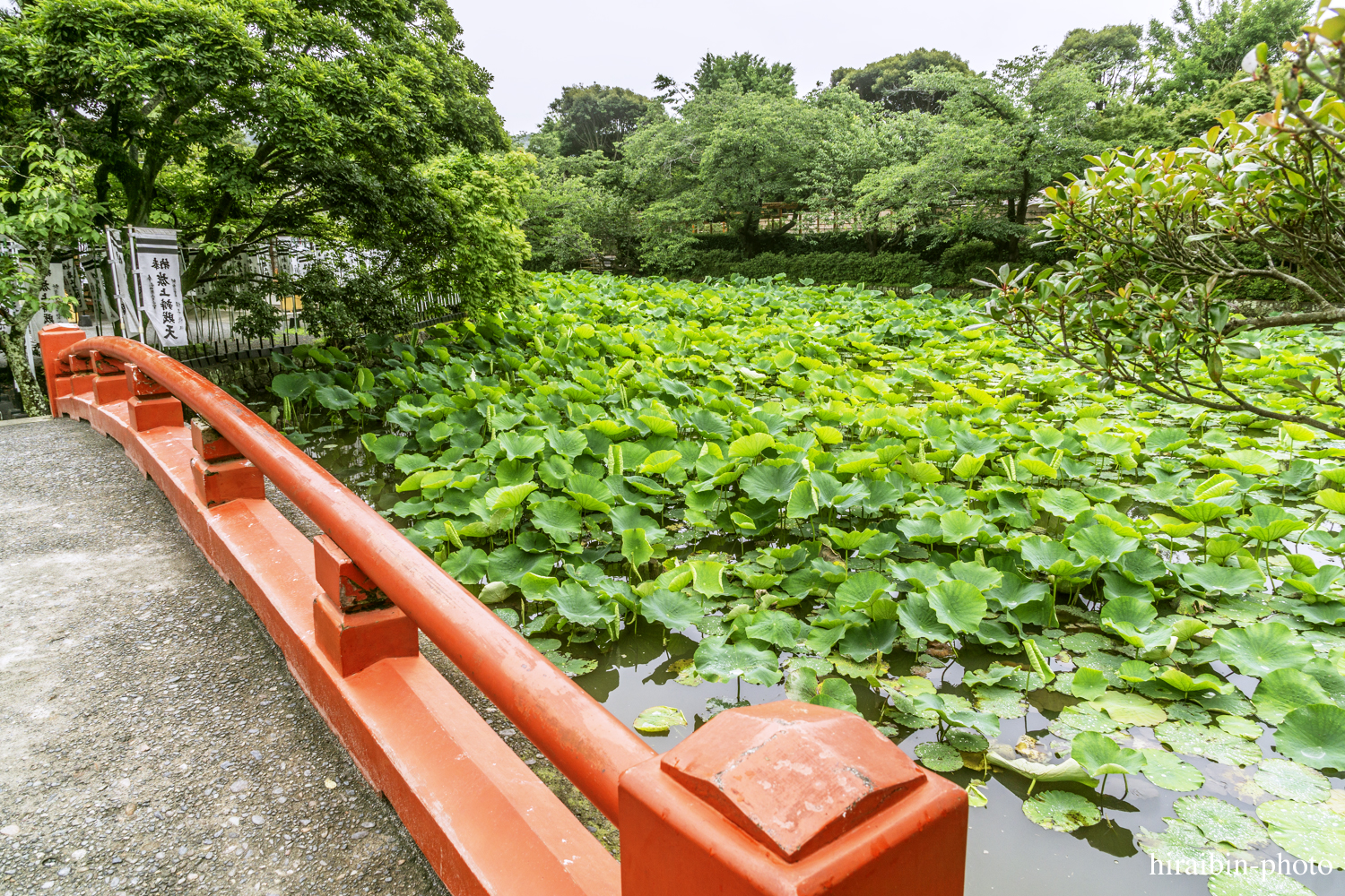 鎌倉・鶴岡八幡宮_photolog.90