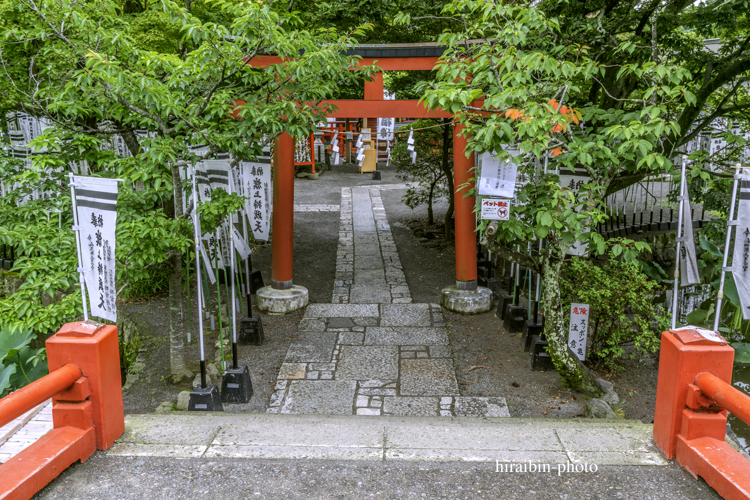 鎌倉・鶴岡八幡宮_photolog.92