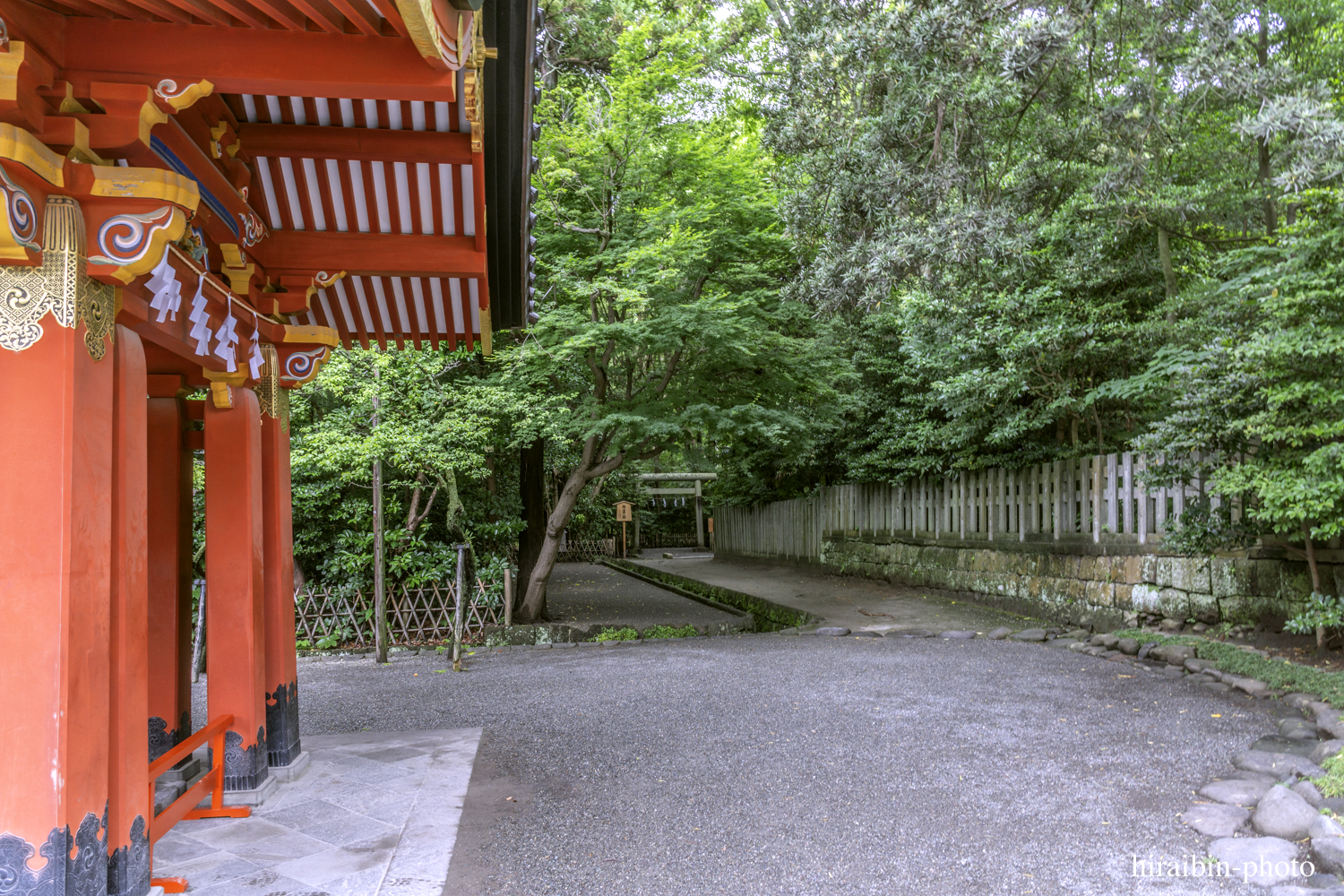 鎌倉・鶴岡八幡宮_photolog.98