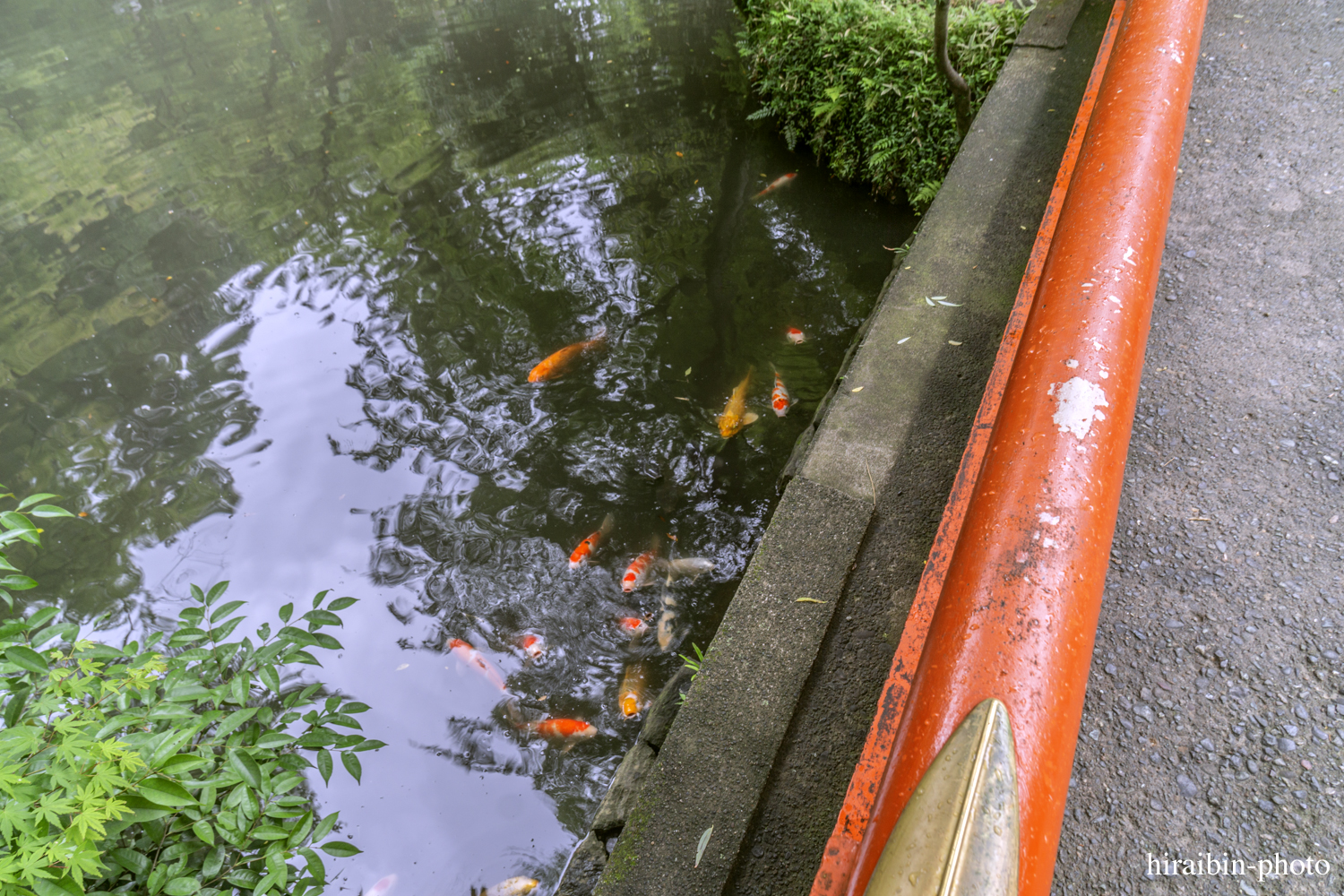 鎌倉・鶴岡八幡宮_photolog.140