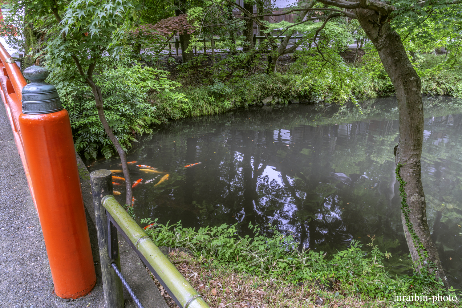 鎌倉・鶴岡八幡宮_photolog.141