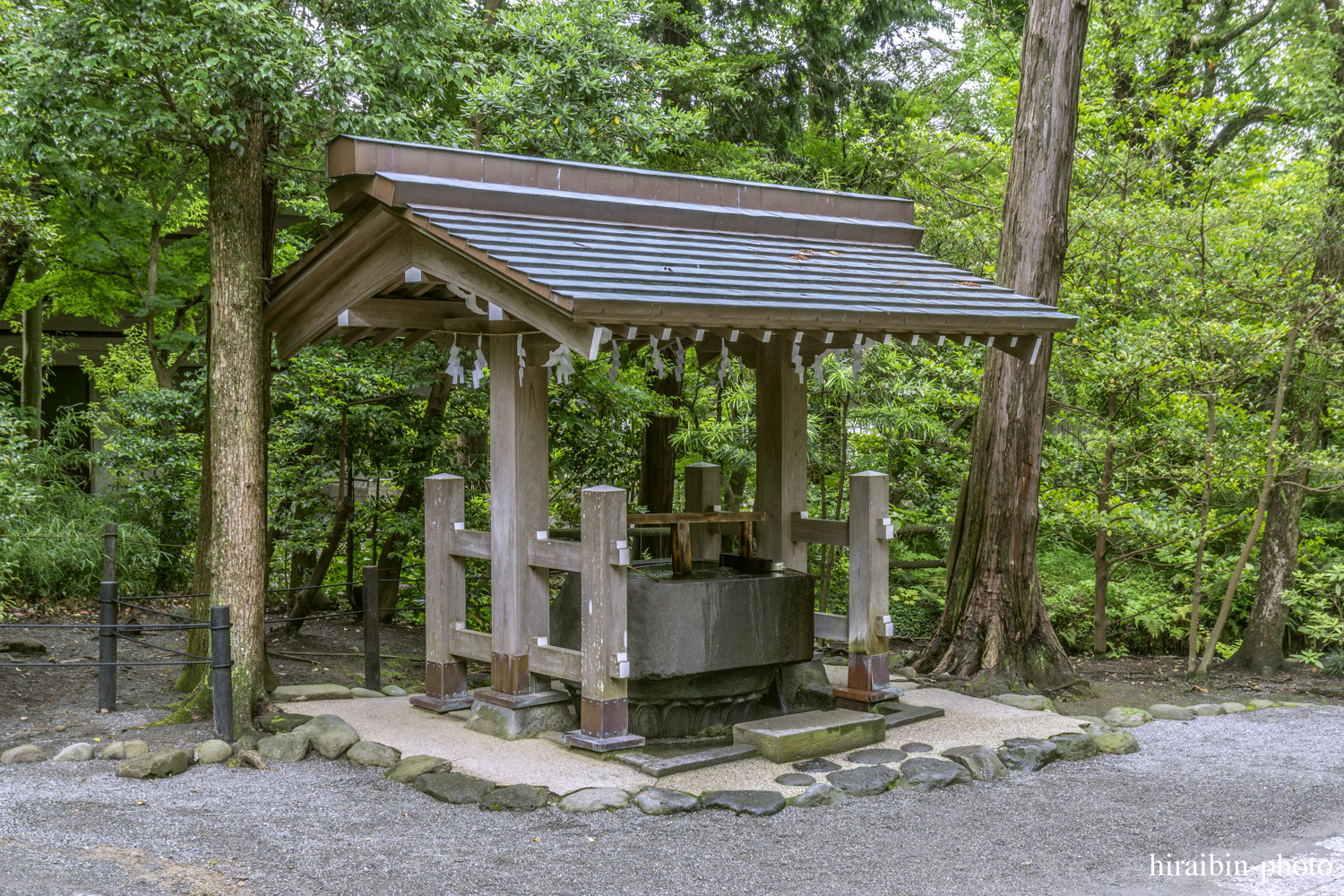 鎌倉・鶴岡八幡宮_photolog.147