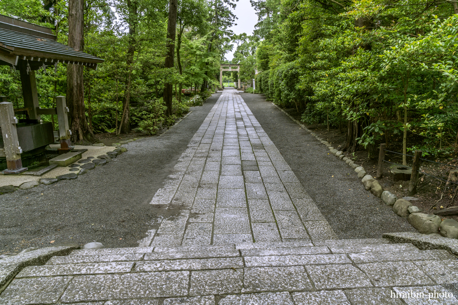 鎌倉・鶴岡八幡宮_photolog.148