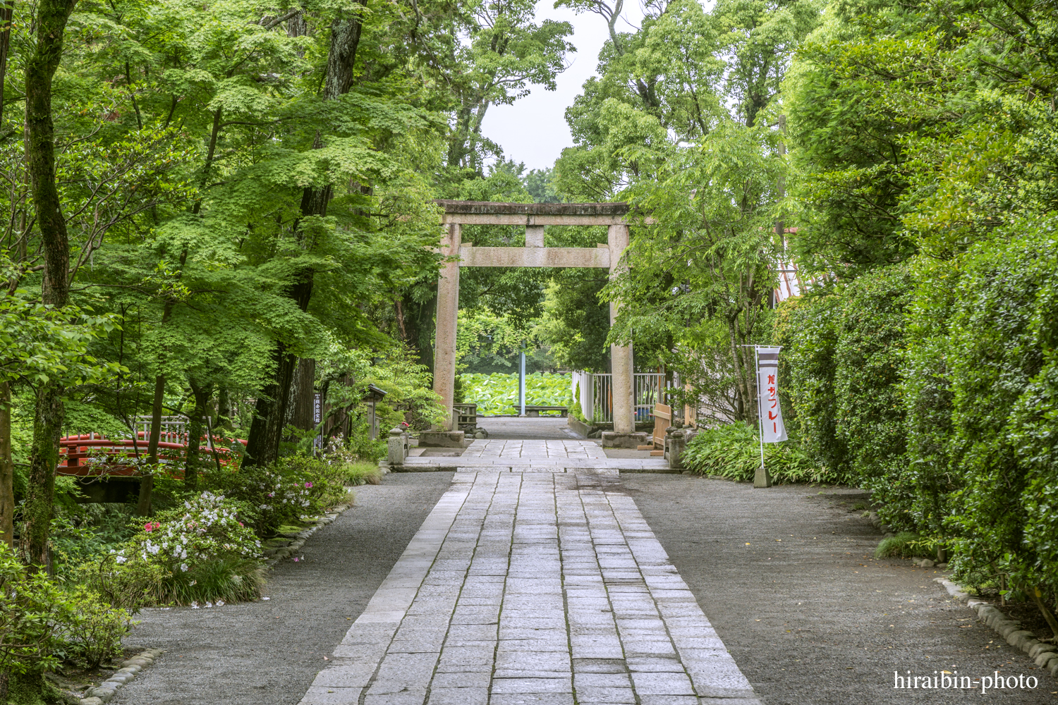 鎌倉・鶴岡八幡宮_photolog.149