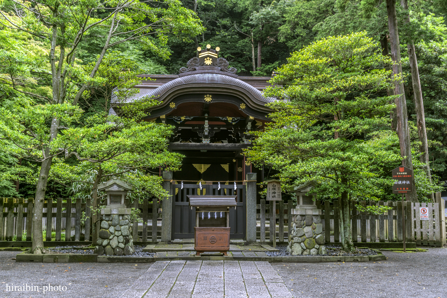 鎌倉・鶴岡八幡宮_photolog.145