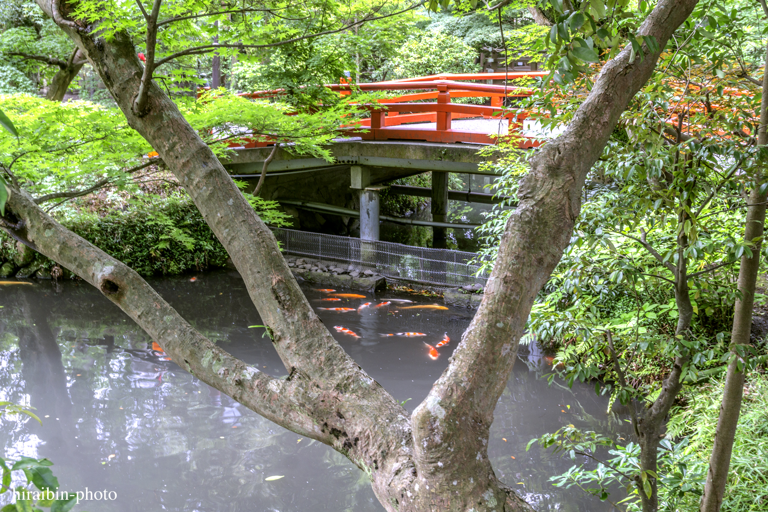 鎌倉・鶴岡八幡宮_photolog.142