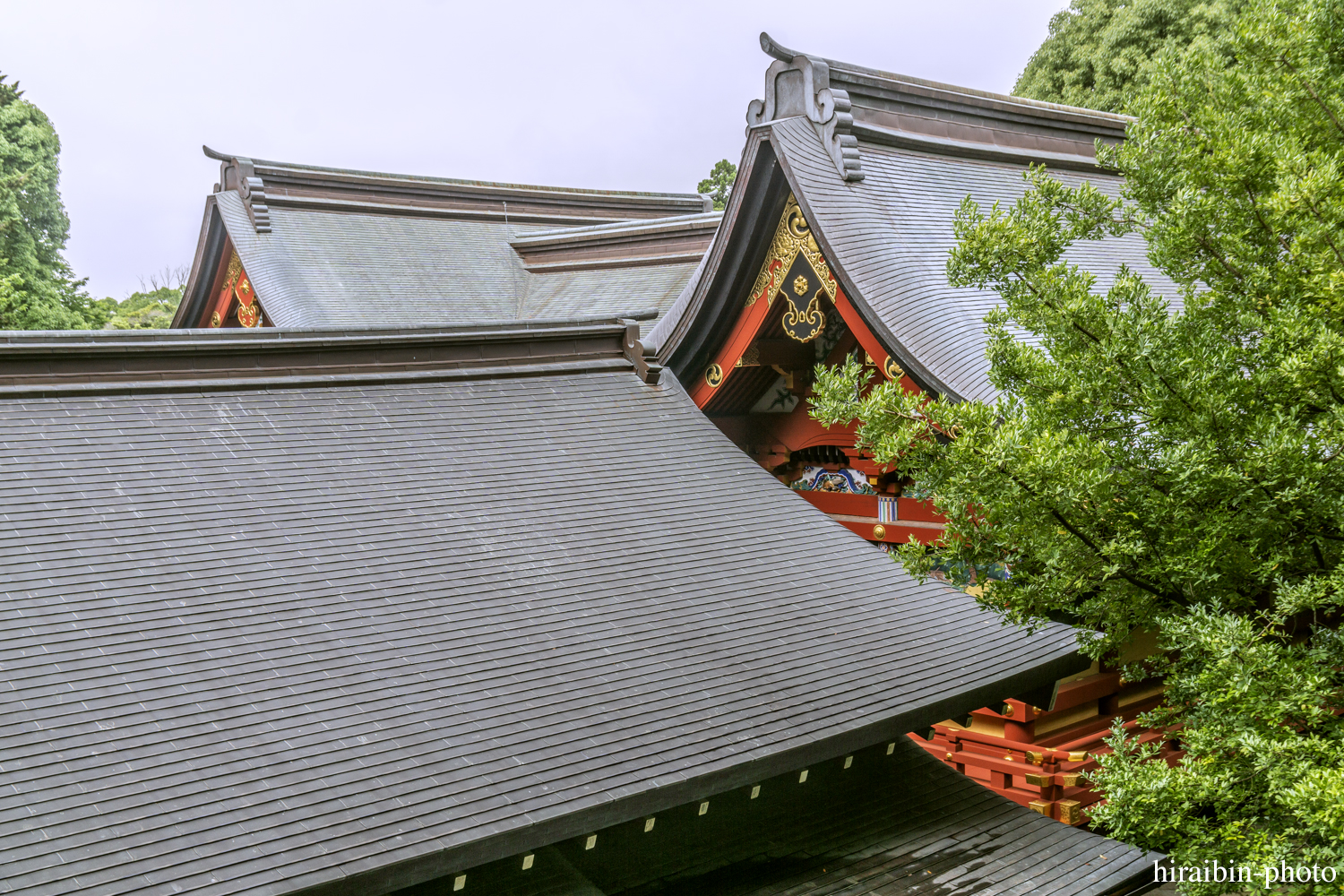 鎌倉・鶴岡八幡宮_photolog.112