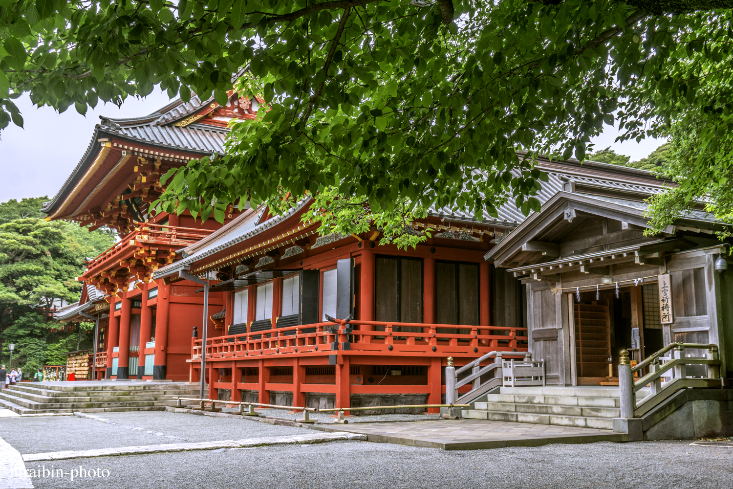 鎌倉・鶴岡八幡宮_photolog.109