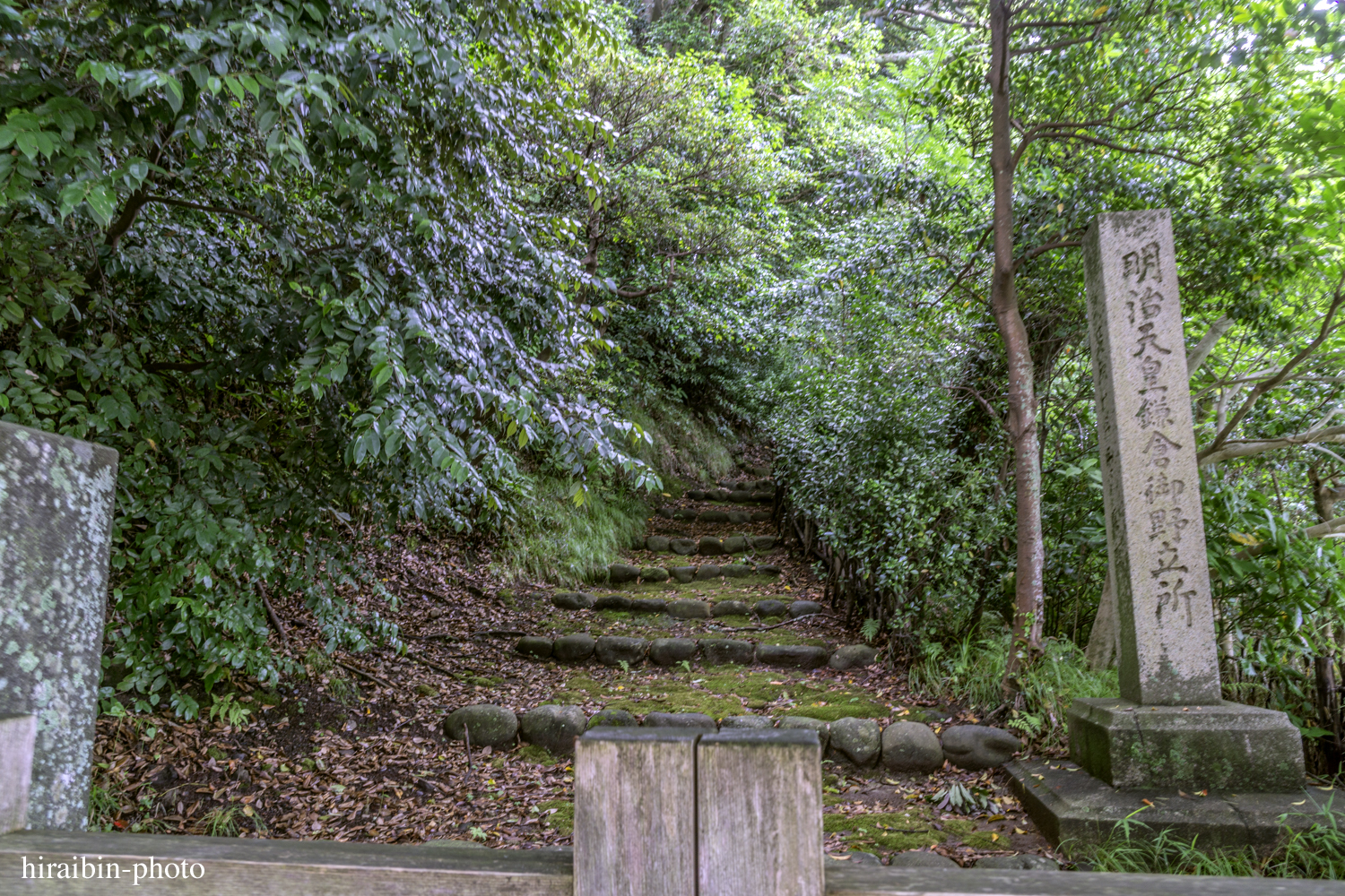 鎌倉・鶴岡八幡宮_photolog.113