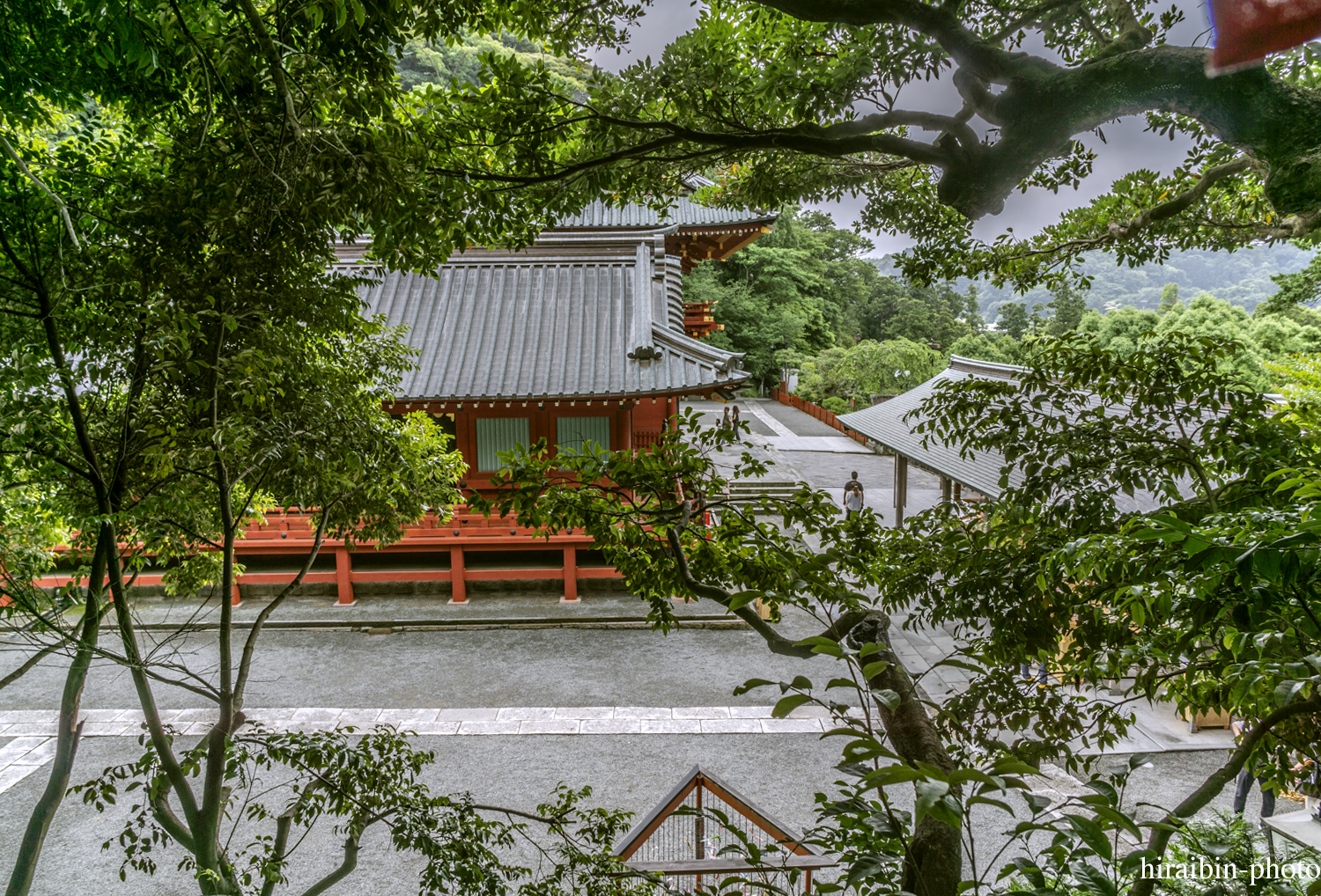 鎌倉・鶴岡八幡宮_photolog.125