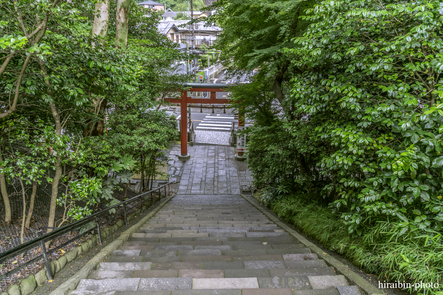 鎌倉・鶴岡八幡宮_photolog.126