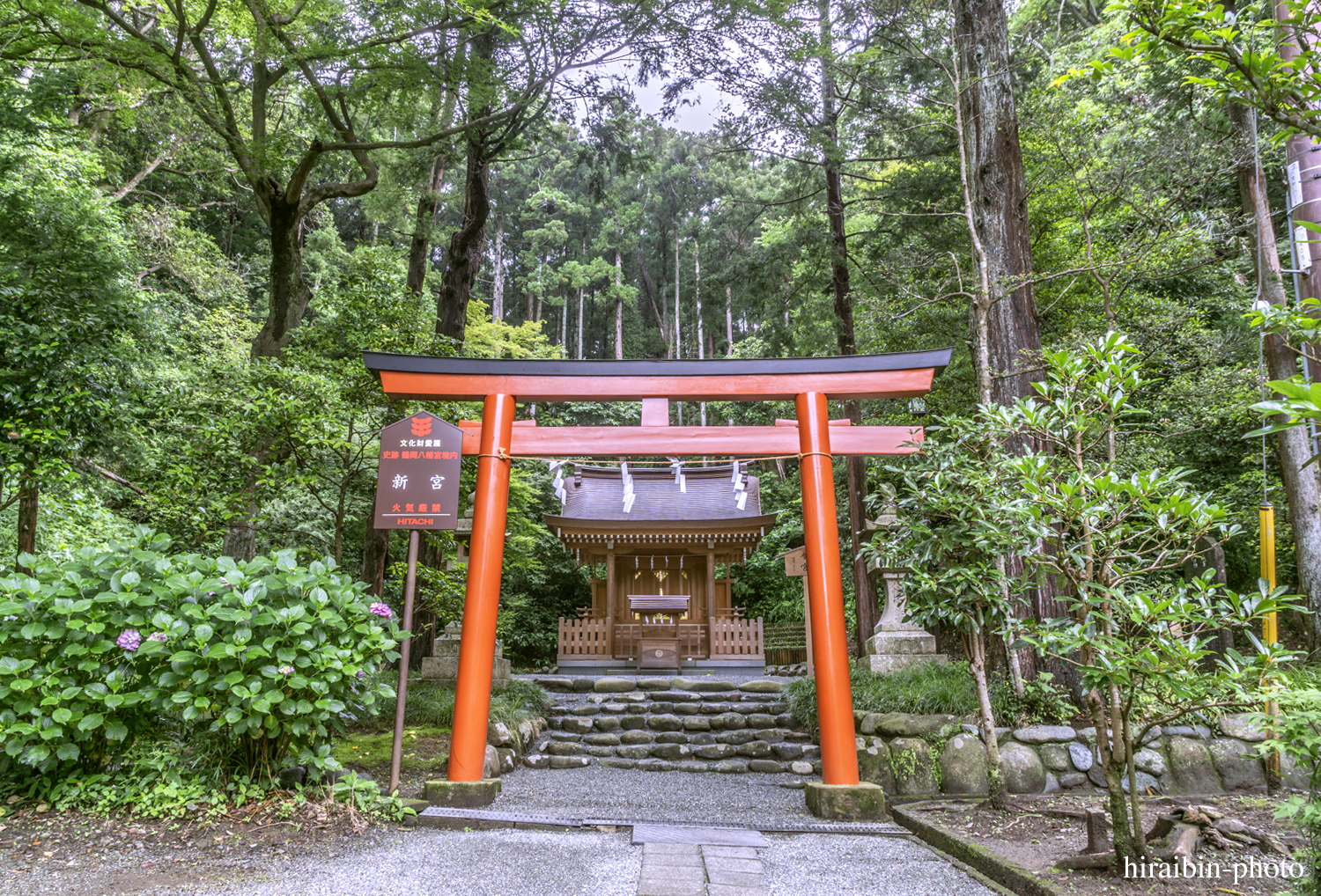 鎌倉・鶴岡八幡宮_photolog.133