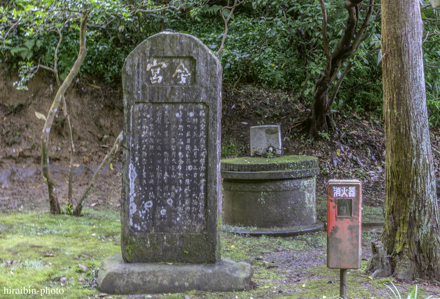 鎌倉・鶴岡八幡宮_photolog.135