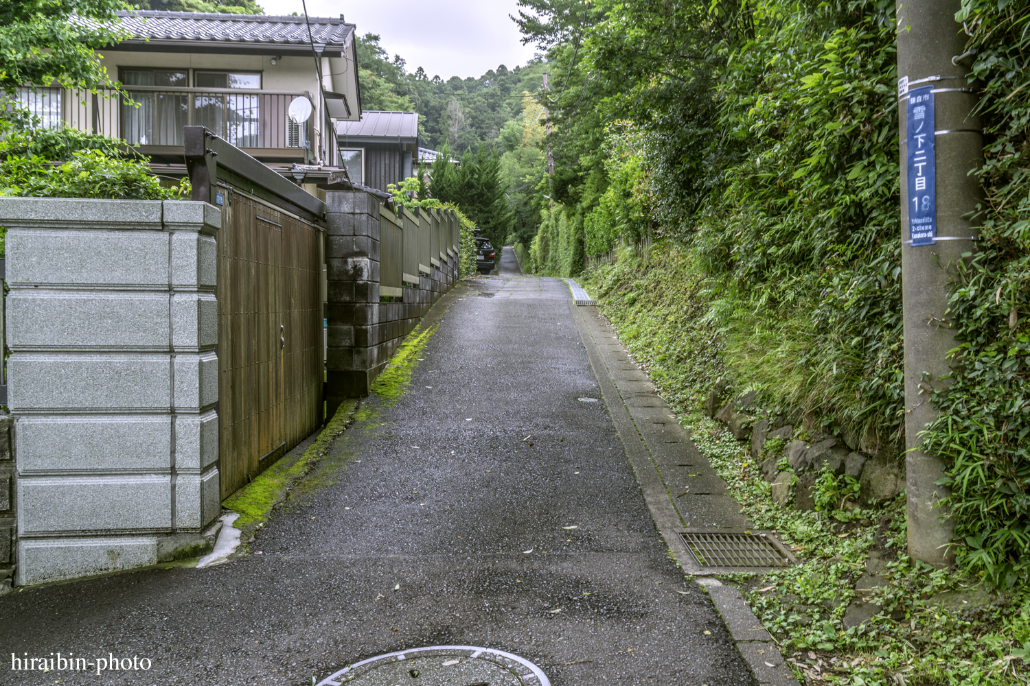 鎌倉・鶴岡八幡宮_photolog.131