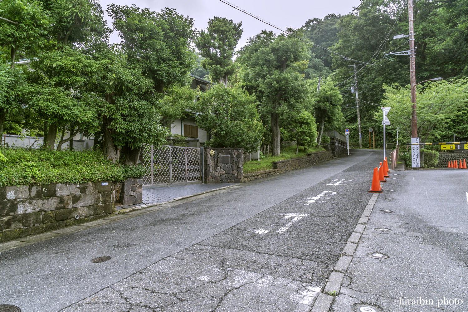 鎌倉・鶴岡八幡宮_photolog.129