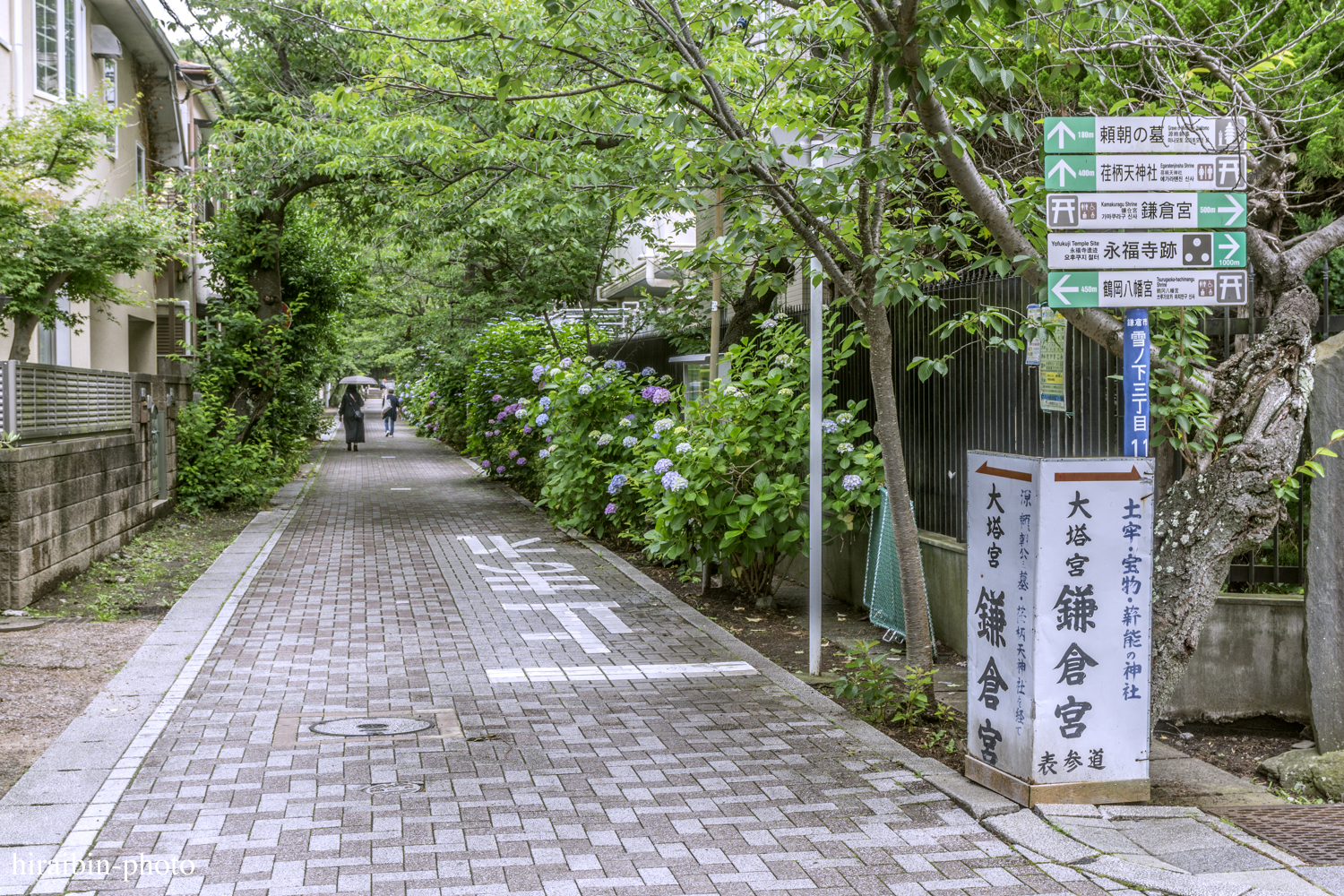 鎌倉・鶴岡八幡宮_photolog.155