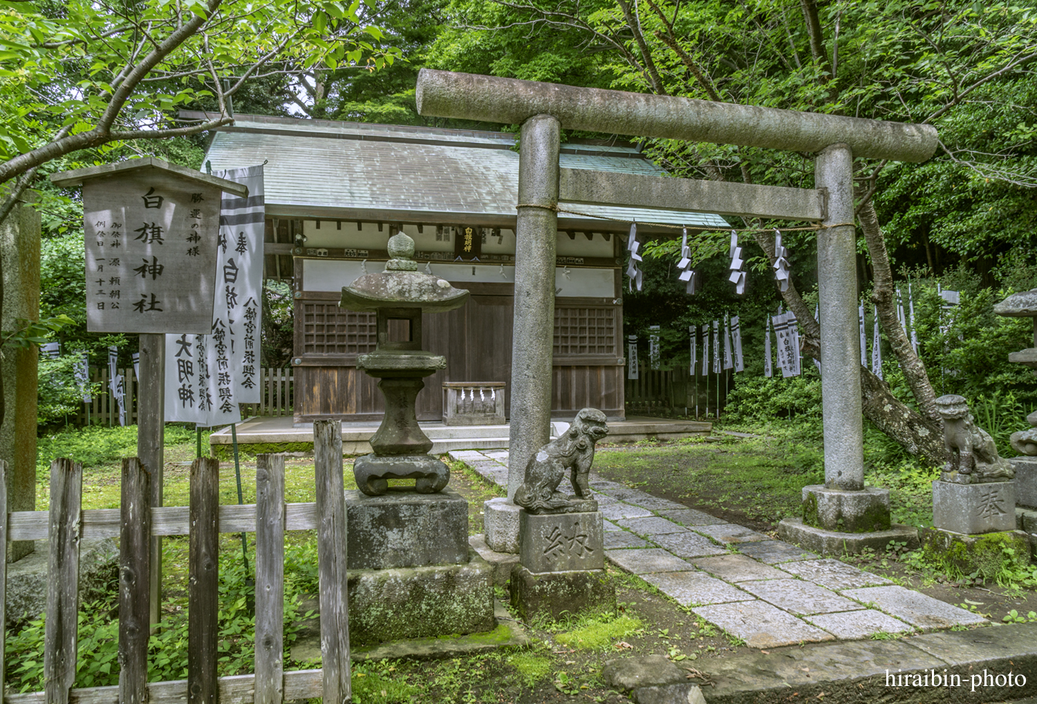 鎌倉・鶴岡八幡宮_photolog.162