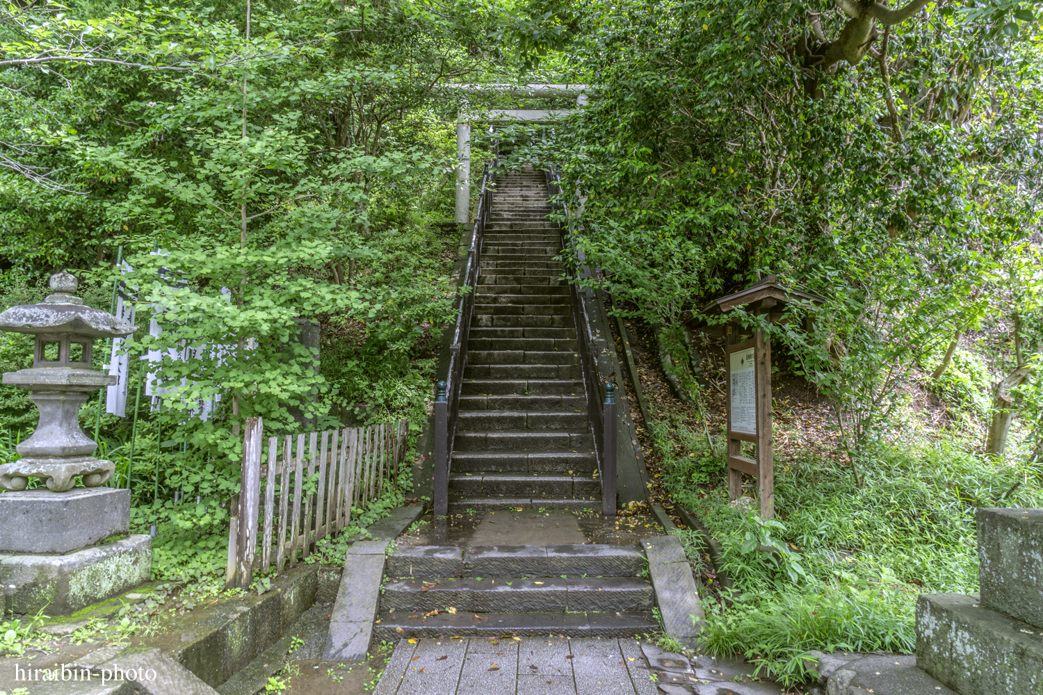 鎌倉・鶴岡八幡宮_photolog.166