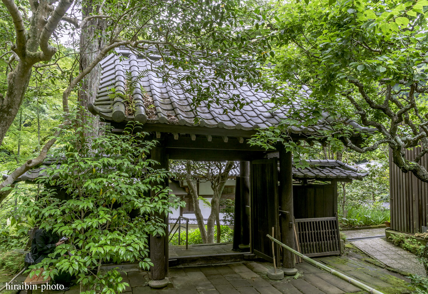 円覚寺_photolog.125