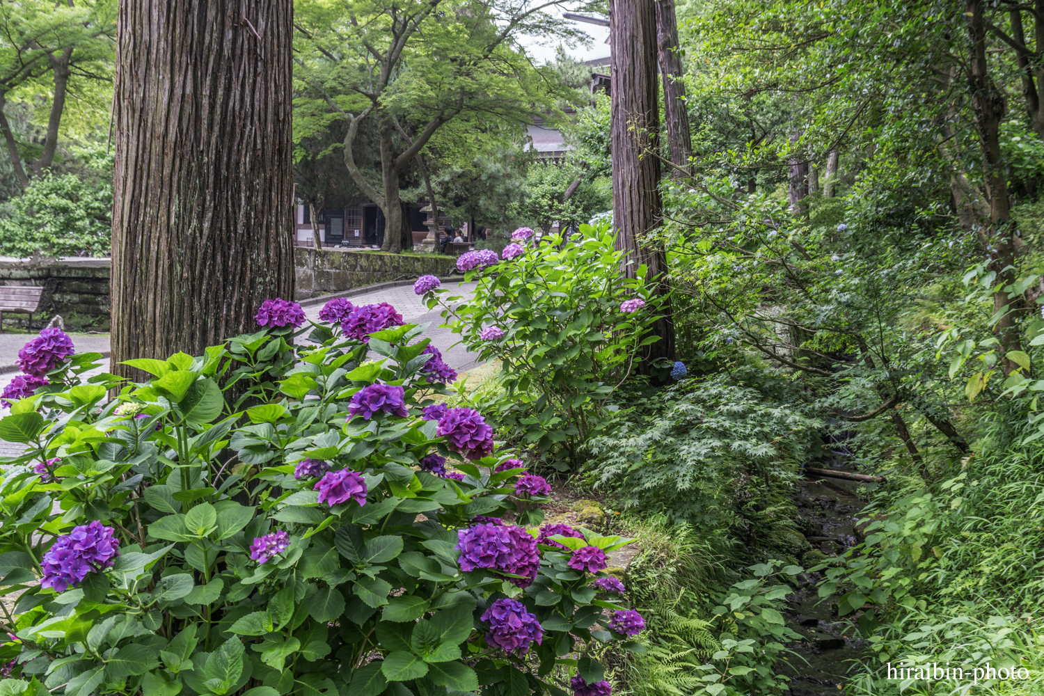 円覚寺_photolog.141