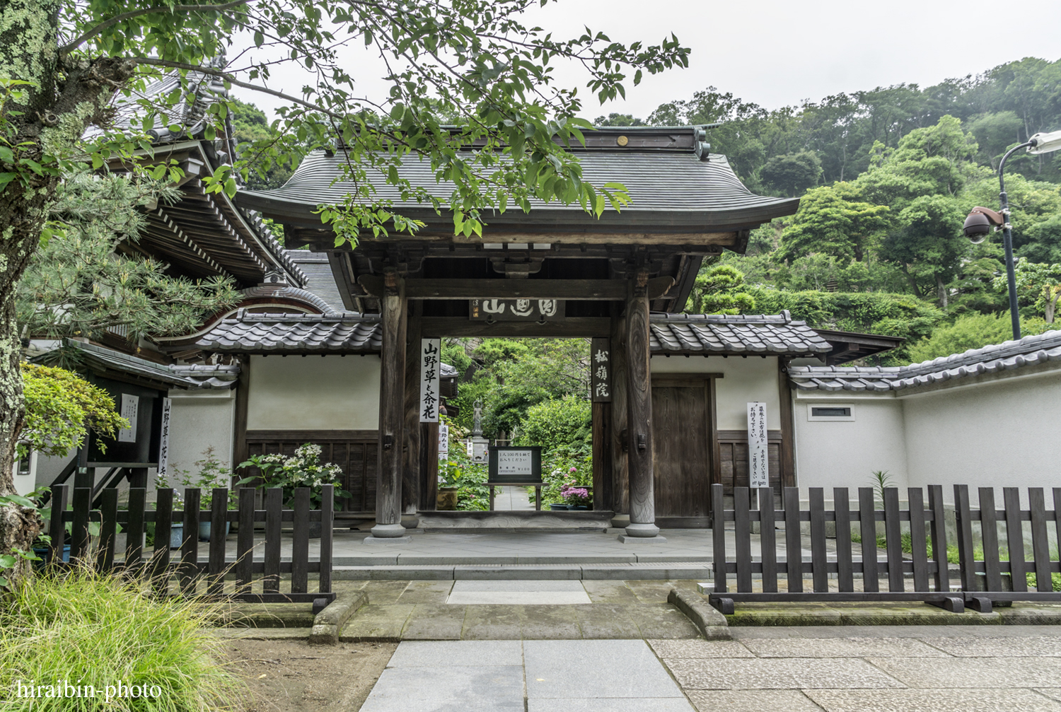 円覚寺_photolog.63