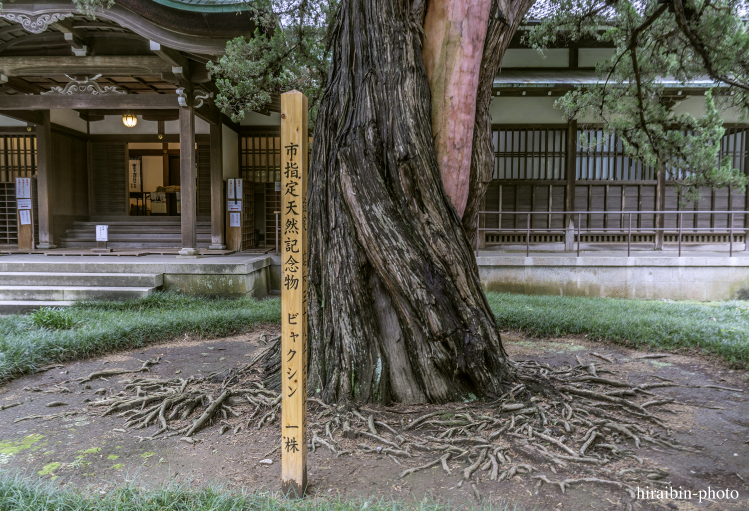 円覚寺_photolog.77