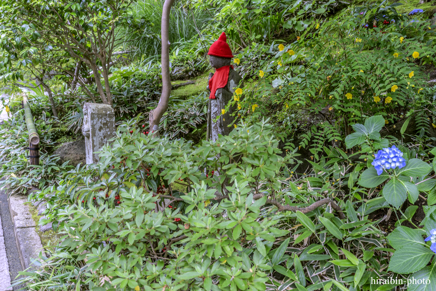 報國寺_photolog.12