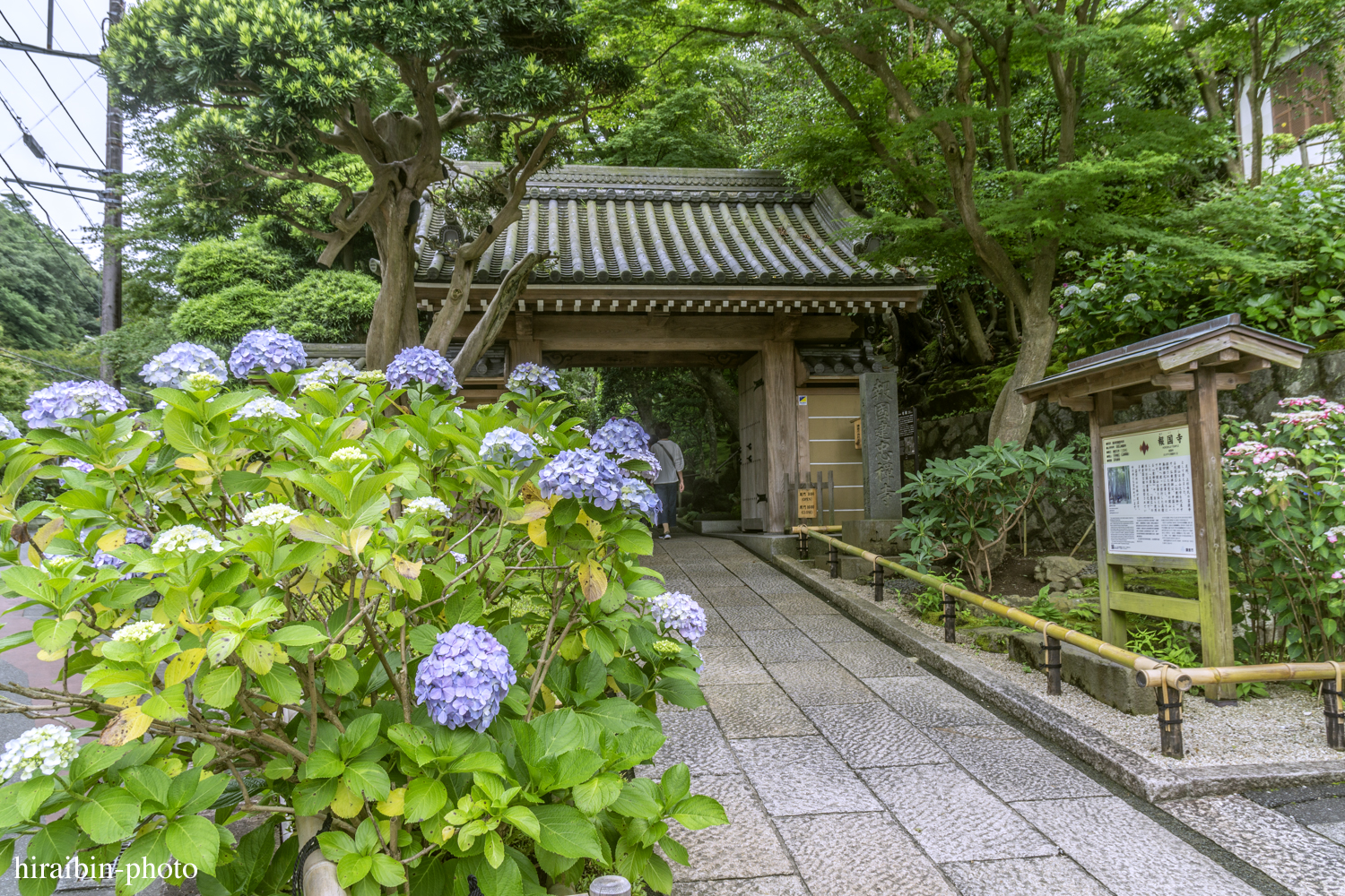 報國寺_photolog.01