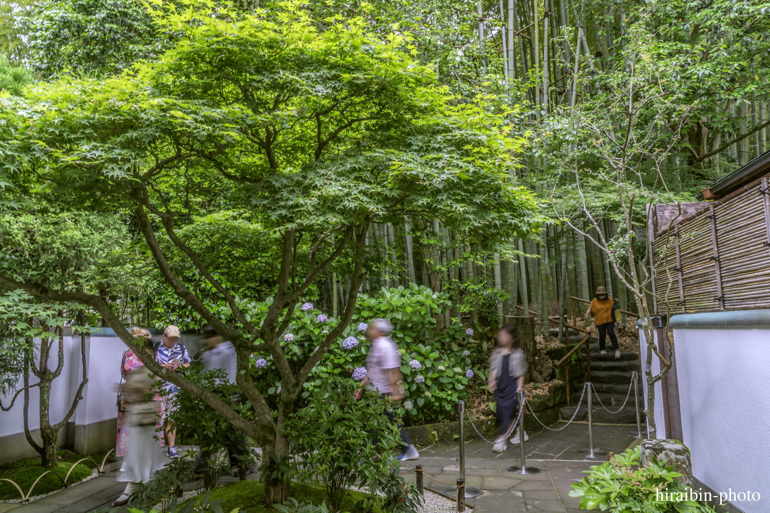 報國寺_photolog.29