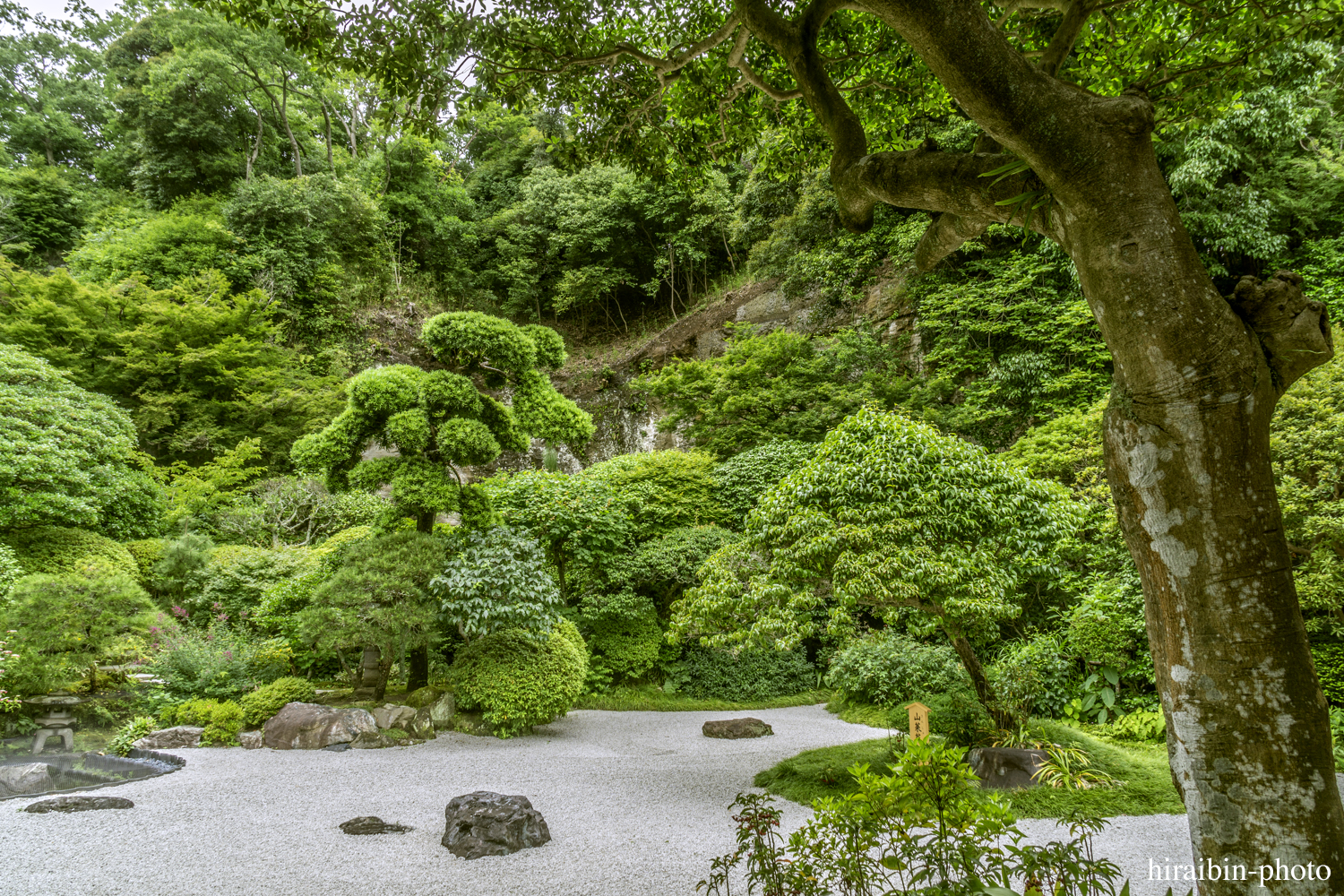 報國寺_photolog.45