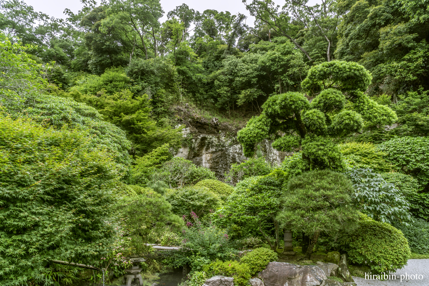 報國寺_photolog.47