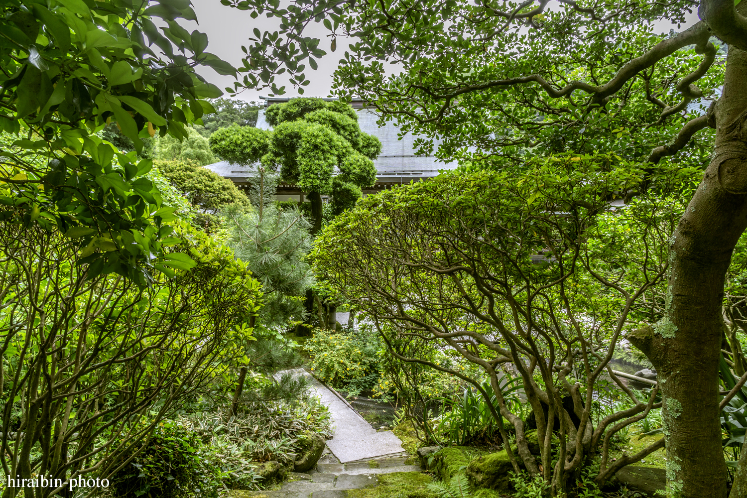 報國寺_photolog.58