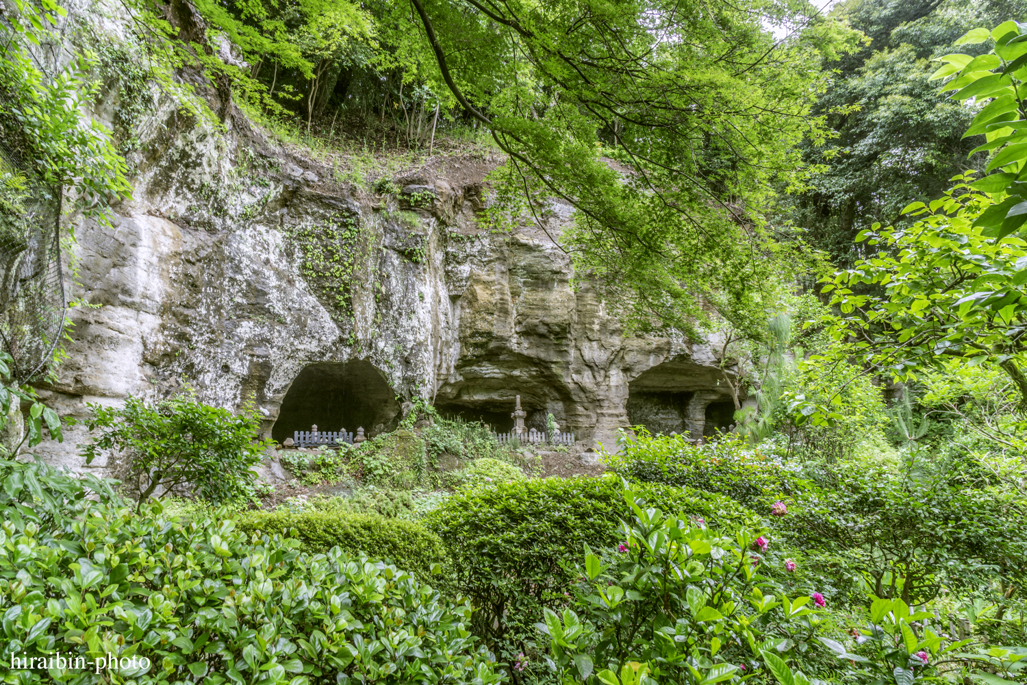 報國寺_photolog.60