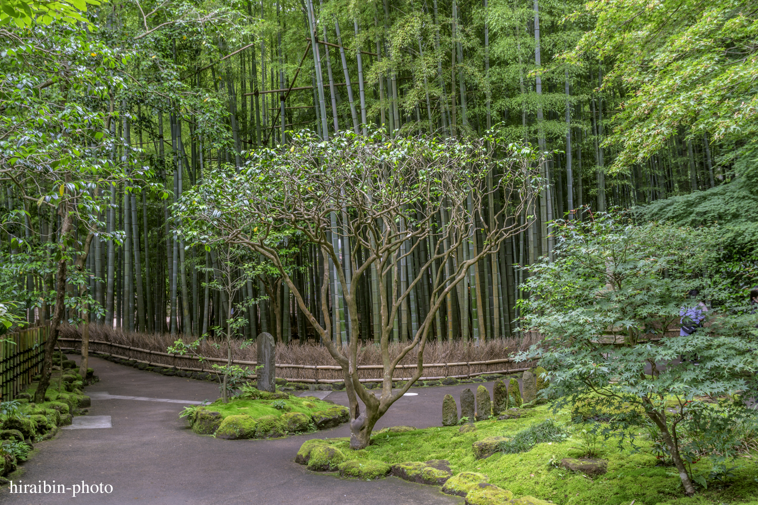 報國寺_photolog.62