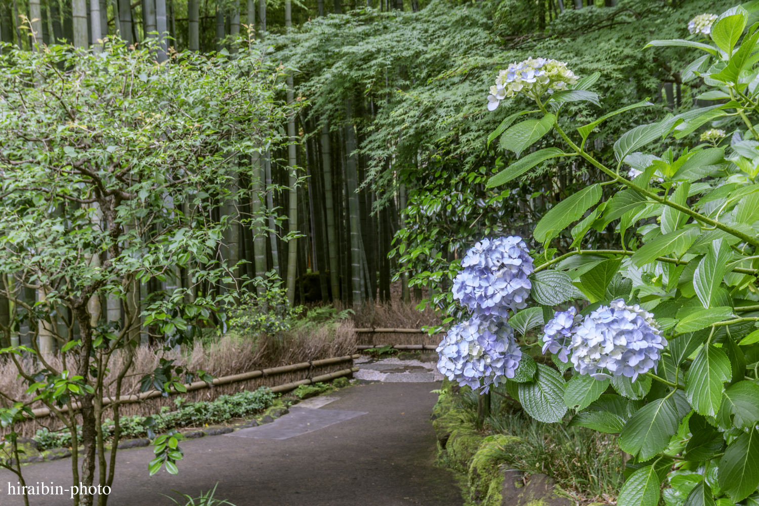 報國寺_photolog.64