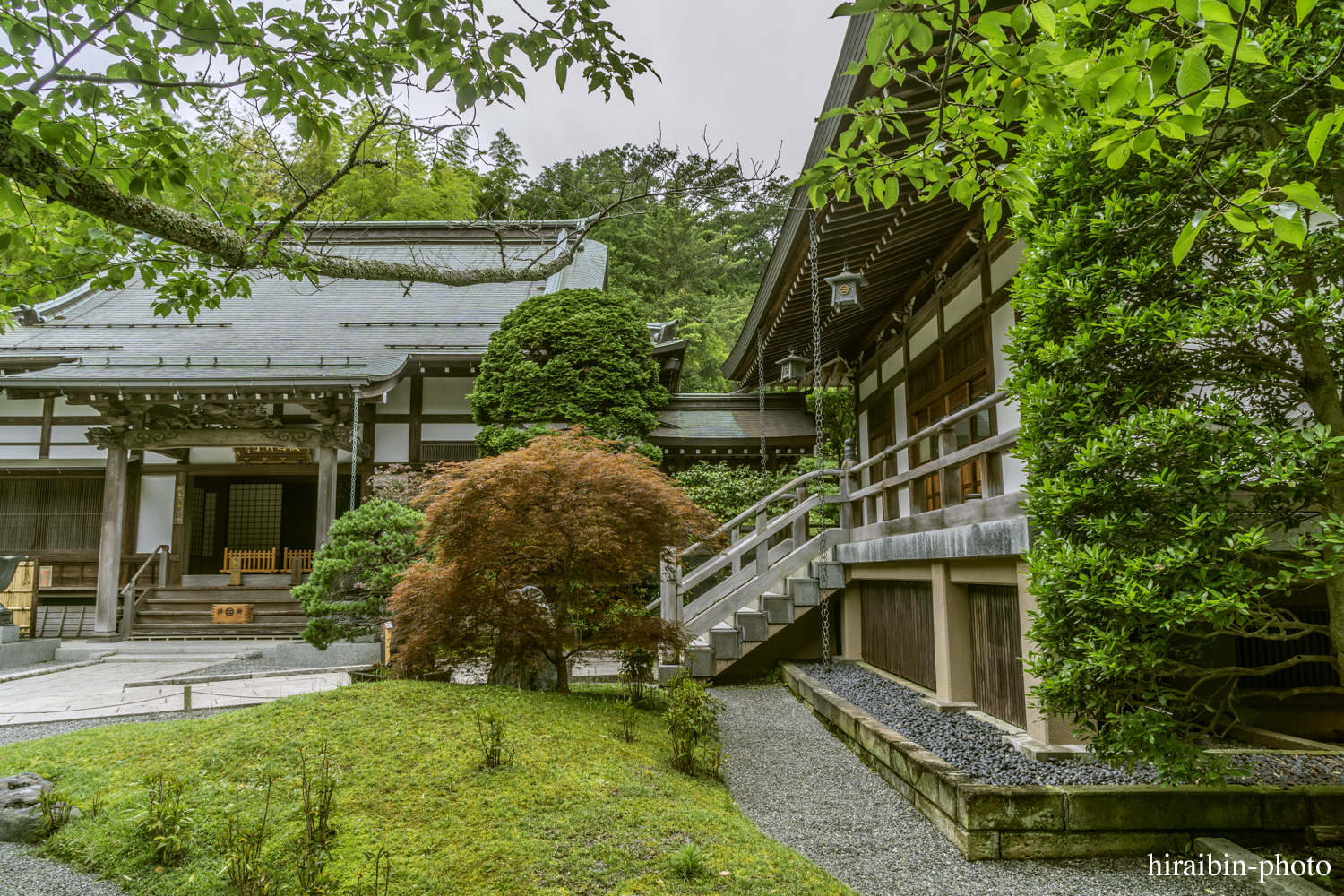 報國寺_photolog.81