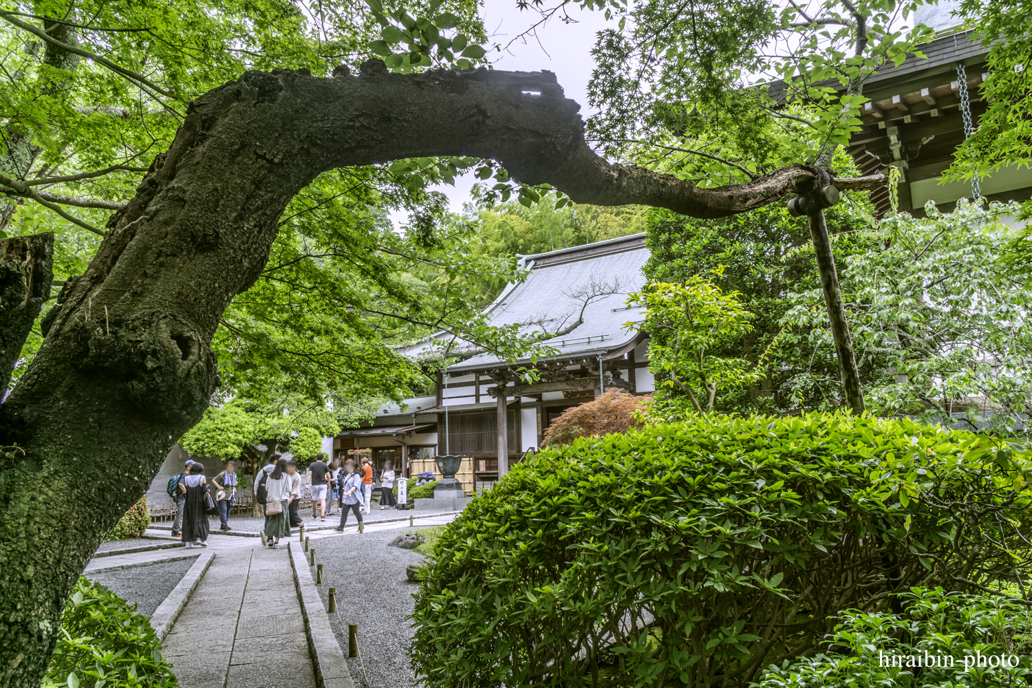 報國寺_photolog.82