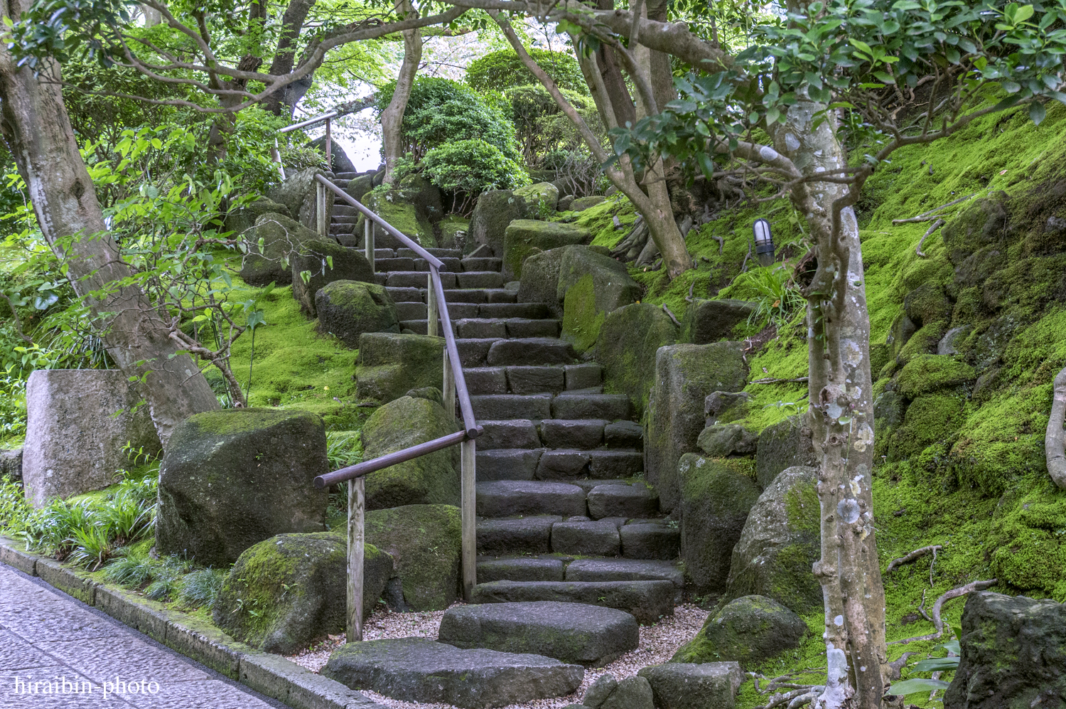 報國寺_photolog.07